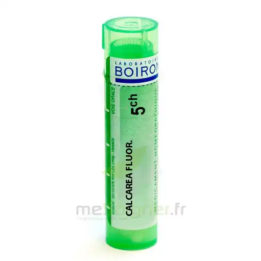 Boiron Calcarea Fluorica 5ch Granules Tube De 4g