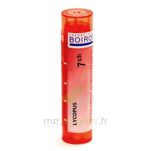 Boiron Lycopus 7ch Granules Tube De 4g