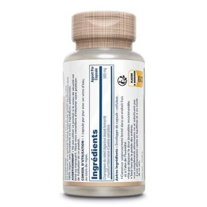 Solaray Champignon Du Soleil Fermenté 500mg Capsules Végétales B/60
