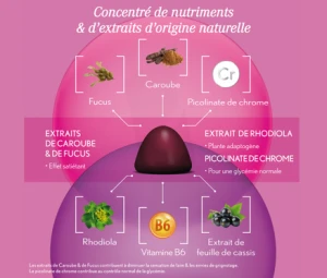 Oenobiol Gummies Minceur Gommes 2pots/60 + Boule De