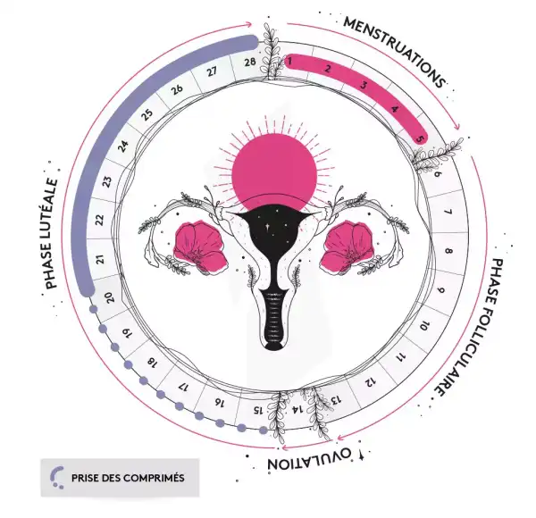 Ballot-flurin Comprimés Menstrues Crampes & Douleurs Menstruelles Pot/120