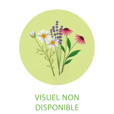 Holistica Flower Complex N°2 Deref à RUMILLY