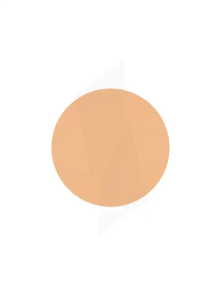 Covermark Compact Powder Normal Skin Poudre Compacte N°310g