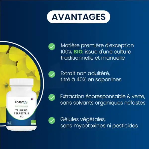 Dynveo  tribulus Terrestris Bio Concentré 300 Gélules