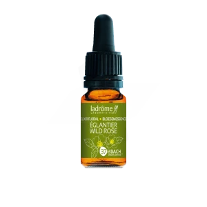 Ladrôme Elixir Floral 37 Eglantier 10ml