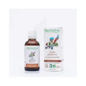 Herbiolys Gemmo - Aulne Glutineux 50ml Bio à RUMILLY