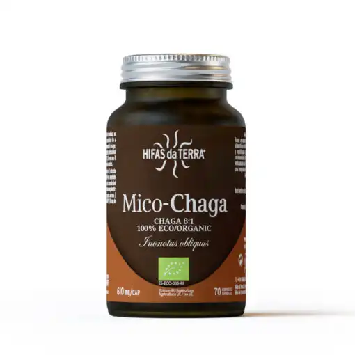 Hifas Da Terra Mico-chaga Gélules B/70