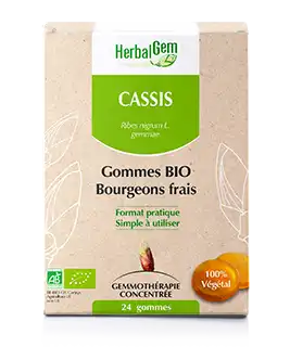 Herbalgem Gomme Cassis Bio B/24