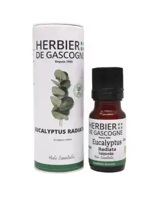 Herbier De Gascogne Huile Essentielle Eucalyptus Radiata Bio Fl/10ml à Espaly-Saint-Marcel