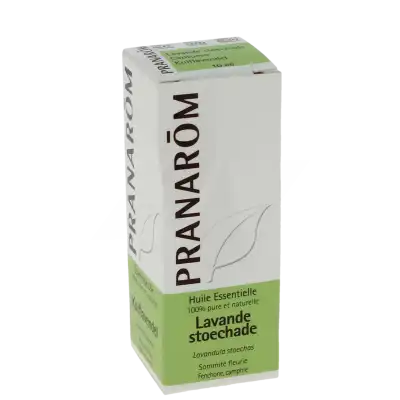 Pranarom Huile Essentielle Lavande Stoechade Fl/10ml à ANGLET