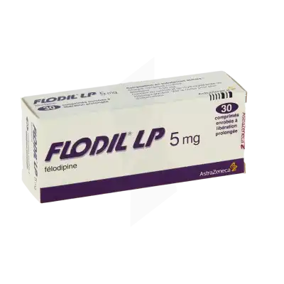 Flodil L.p. 5 Mg, Comprimé Enrobé à Libération Prolongée à LA CRAU