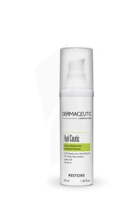 Dermaceutic Hyal Ceutic Crème D’hydratation Intense  Fl Airless/40ml