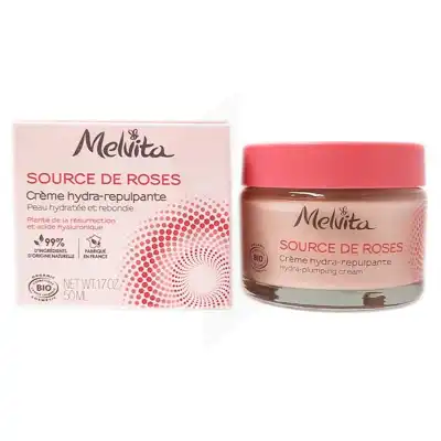 Melvita Source De Roses Crème Hydra-repulpante Pot/50ml à LES ANDELYS