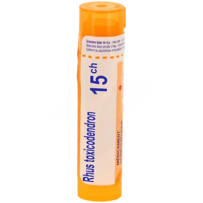 Rhus Toxicodendron 15ch Granules à MIRAMONT-DE-GUYENNE