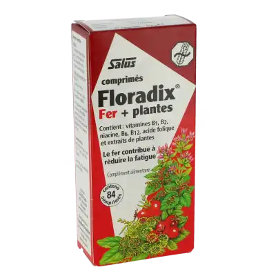 Floradix Fer+plantes Comprimés Vigueur énergie B/84 à Drocourt