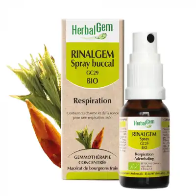 Rinalgem Respiration Spray Buccal Gc29 Bio Spray/15ml à Paray-le-Monial