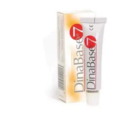 Dinabase 7 Gel Fixatif Appareil Dentaire 20g à Monsempron-Libos