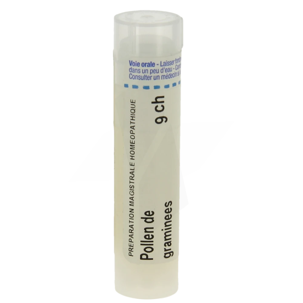 Boiron Pollen De Graminees 9ch Granules Tube De 4g