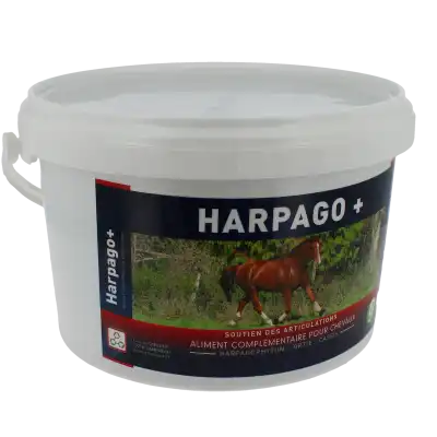 Harpago + Aliment complémentaire pour chevaux - Soutien des Articulations 1,5kg