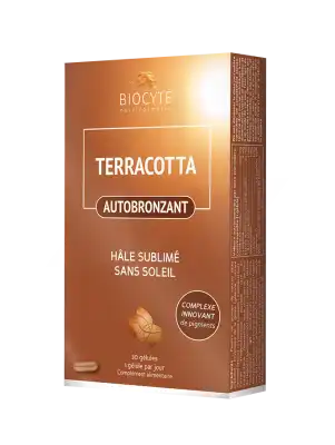 Biocyte Terracotta Cocktail Autobronzant Comprimés B/30 à LILLE