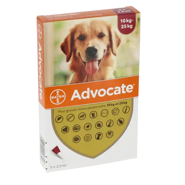 Advocate 250 Mg + 62,5 Mg Solution Pour Spot-on Pour Grands Chiens, Solution Pour Spot-on