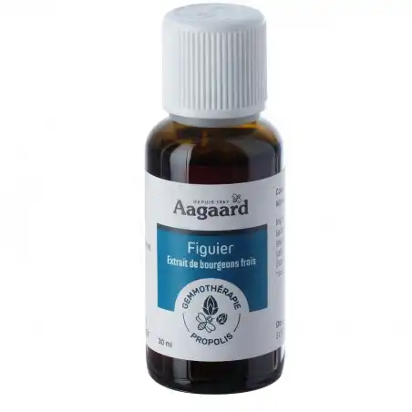 Aagaard Figuier Macérat Unitaire 30ml