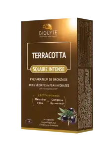 Biocyte Terracotta Solaire Intense Comprimés B/30 à Thuir