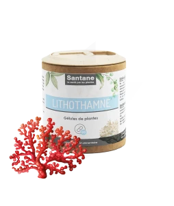 Santane Lithothamne Gélules De Poudre De Plantes 420mg B/60