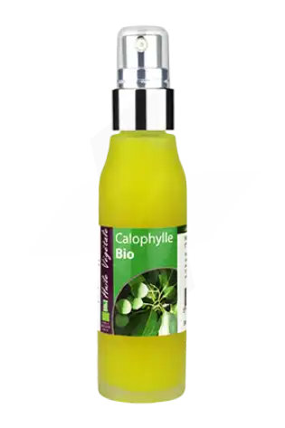 Laboratoire Altho Huile Végétale Calophylle (tamanu) Bio 50ml