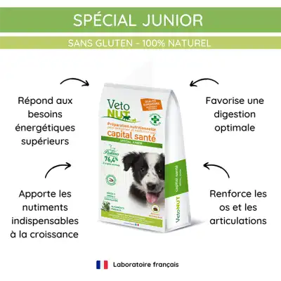 Vétonut Croquettes pour chien « spécial junior » Carton