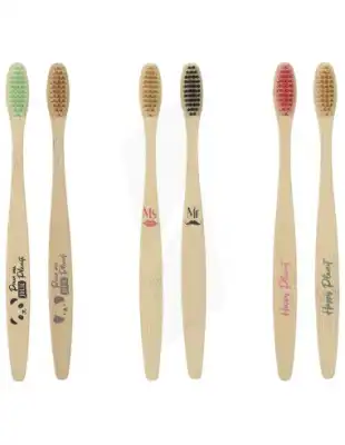 Lcdt Brosse à Dents Bambou B/2 à Chelles
