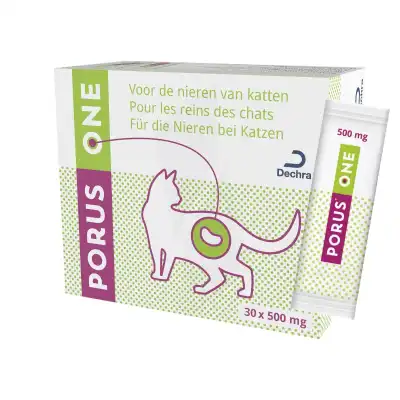 Porus One 500 Mg Chat Sachets Pdr Or B/30 à DIJON