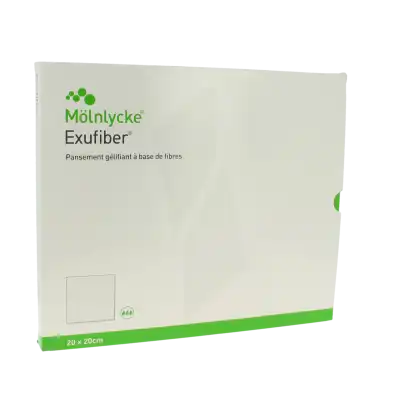 Exufiber Plaque Stérile 20x20cm B/10 à Agen
