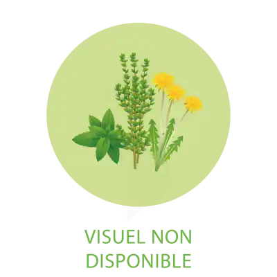 Iphym Santé Menthé Douce Plantes En Vrac Entières Et Coupées 100g à Lesparre-Médoc