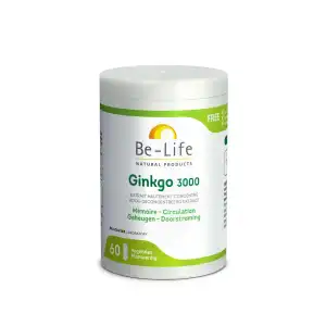 Be-life Gink-go 3000 Gélules B/60 à Antibes