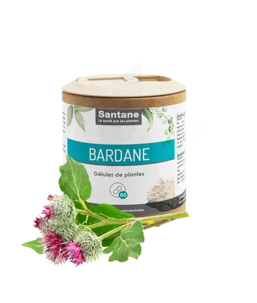 Santane Bardane Gélules De Poudre De Plantes 270mg B/60