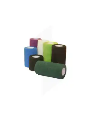 Flex'on Bande Cohésive 10 Cm X 4,5m Boîte De 18 à FLEURANCE