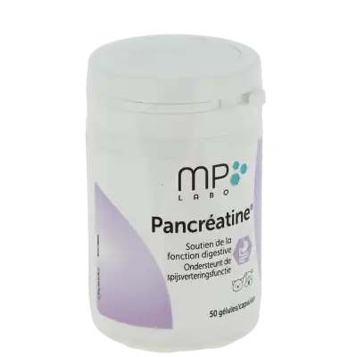 Pancreatine Gelules B/50 Gel