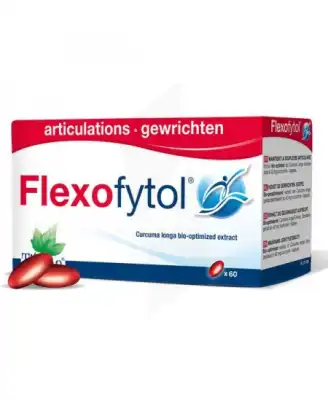 Flexofytol Caps Confort Articulaire B/60 à SAINT-ROMAIN-DE-COLBOSC