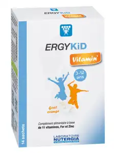 Ergykid Vitamin' Poudre Solution Buvable 14 Sachets à BANTZENHEIM