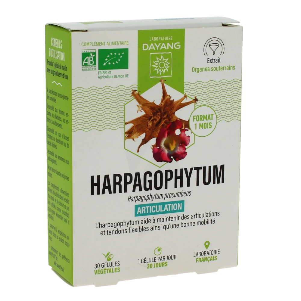 Dayang Phytotherapie Harpagophytum Bio Gél B/30