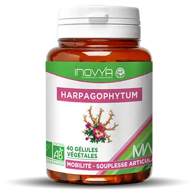 MA Inovya Harpagophytum Bio Gélules B/40
