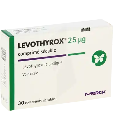 Levothyrox 25 Microgrammes, Comprimé Sécable à Blere