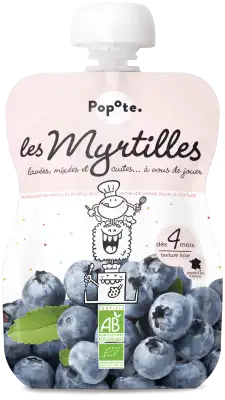 Popote Myrtilles Bio Gourde/120g à Mérignac