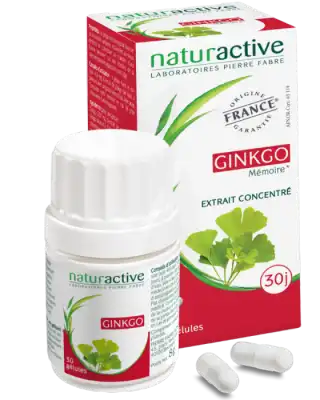 Naturactive Phytothérapie Ginkgo Gélules Pilulier/60 à Lesparre-Médoc