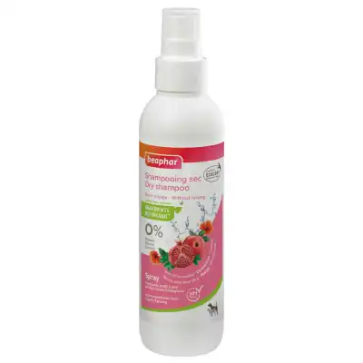 Shampooing Sec Ss Rincage Bio Sol Ext Fl/200ml