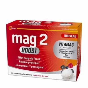 Mag 2 Boost Comprimés Effervescents Tube De 20