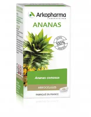 Arkogélules Ananas Gélules Fl/45 à COLLONGES-SOUS-SALEVE