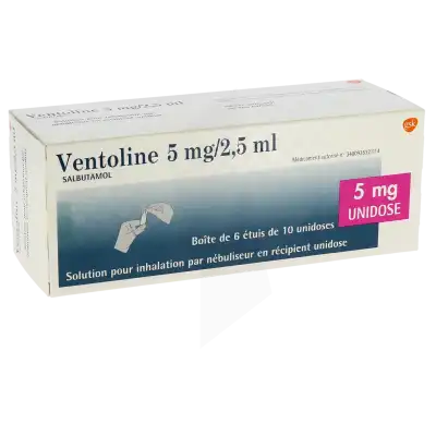 Ventoline 5 Mg/2,5 Ml, Solution Pour Inhalation Par Nébuliseur En Récipient Unidose à Ris-Orangis