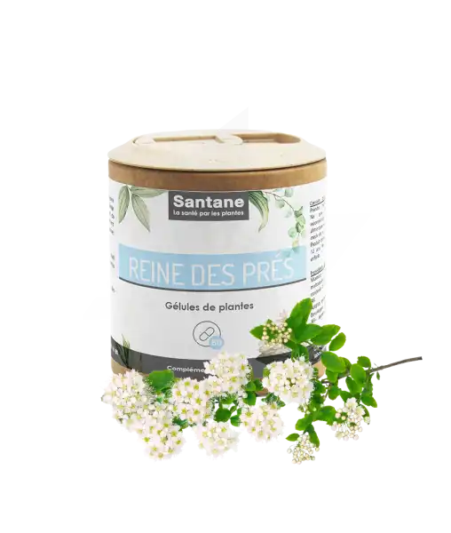 Santane Reine Des Prés Gélules De Poudre De Plantes 250mg B/60